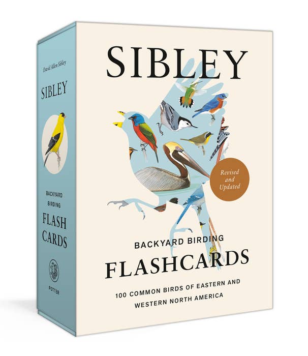 birding flashcards
