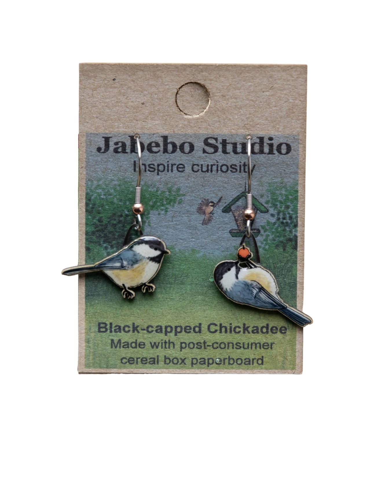 Black-Capped Chickadee