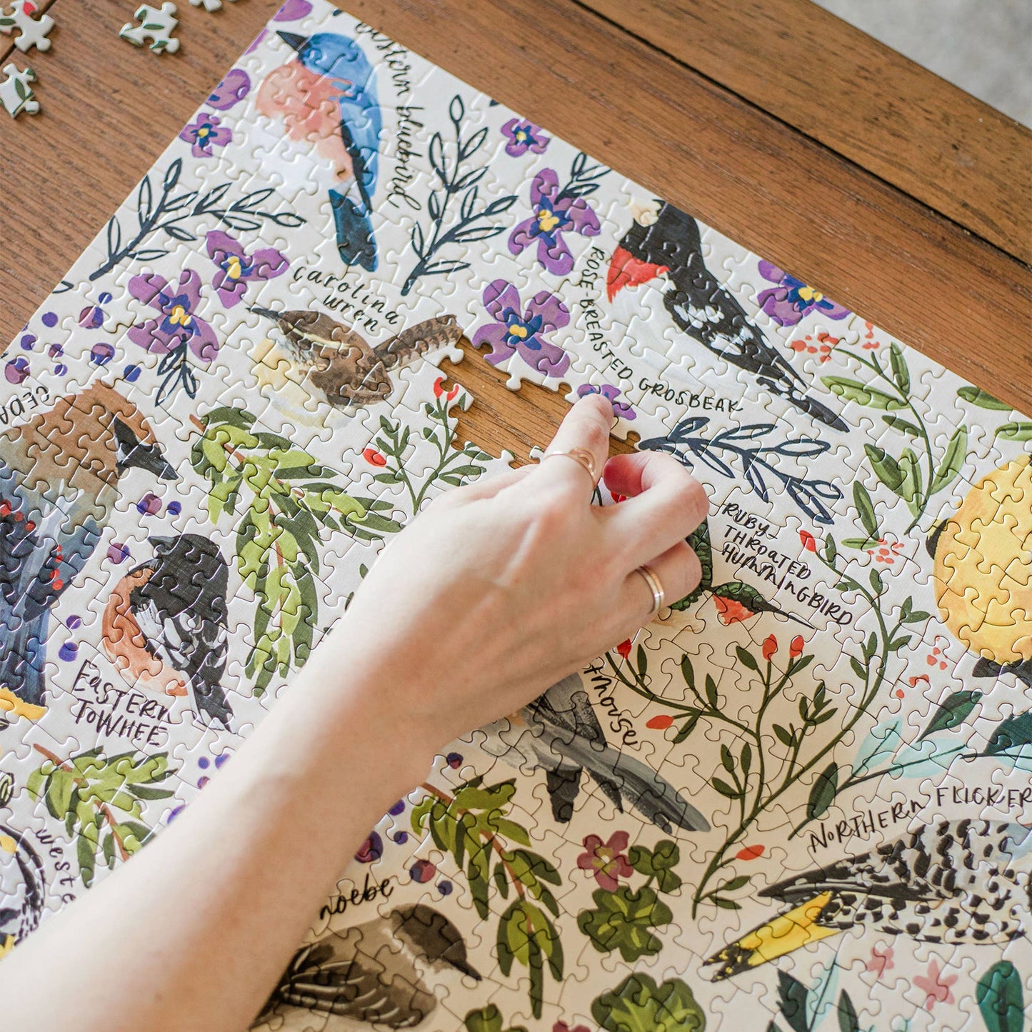 bird themed puzzle