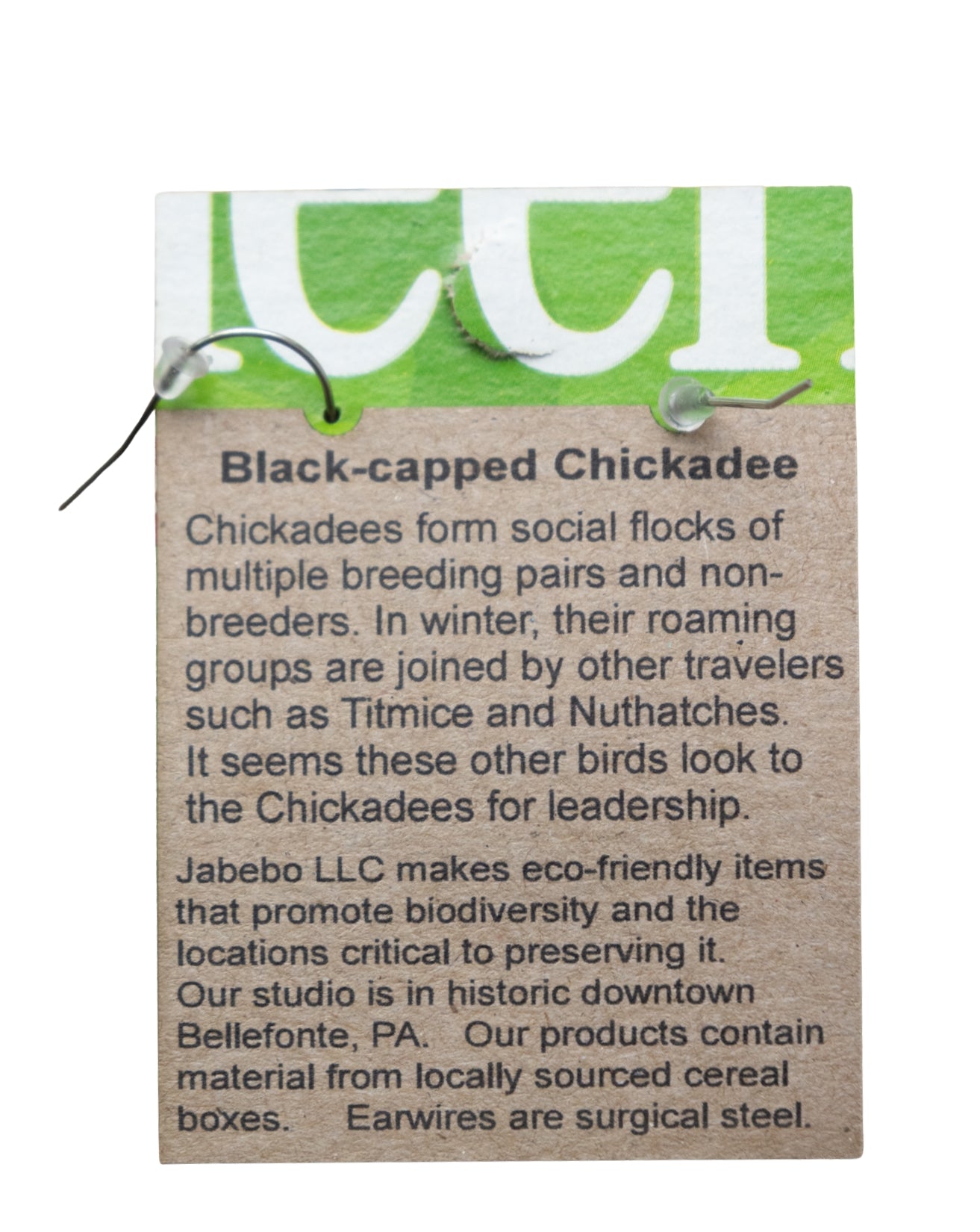 Black-Capped Chickadee