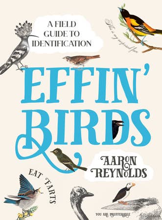 bird idenification